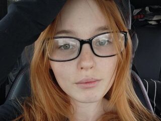 web chat VetaFerr